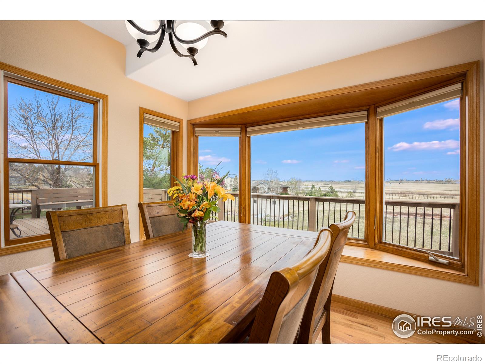 MLS Image #12 for 3020  blue mountain court,loveland, Colorado