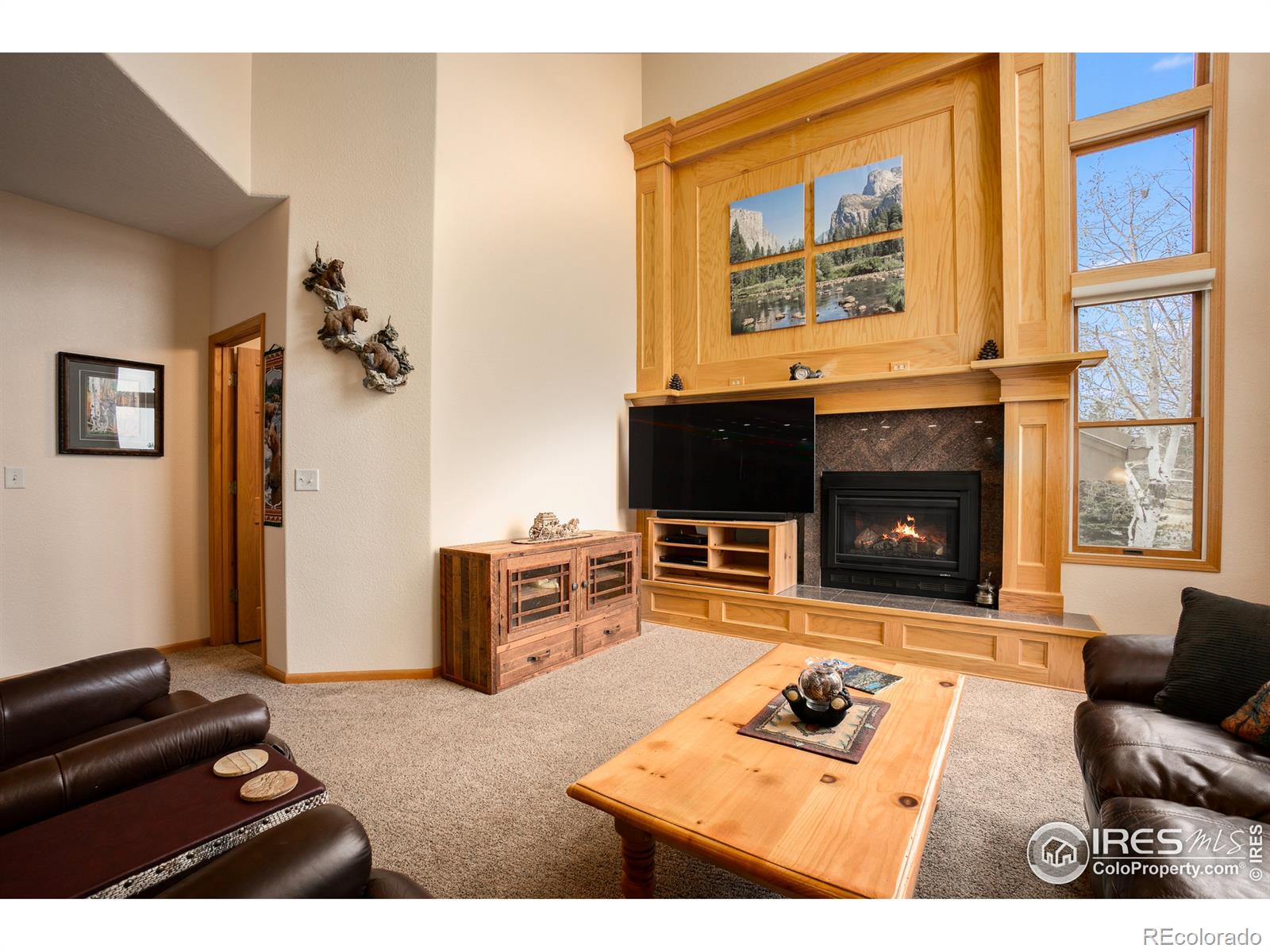 MLS Image #14 for 3020  blue mountain court,loveland, Colorado