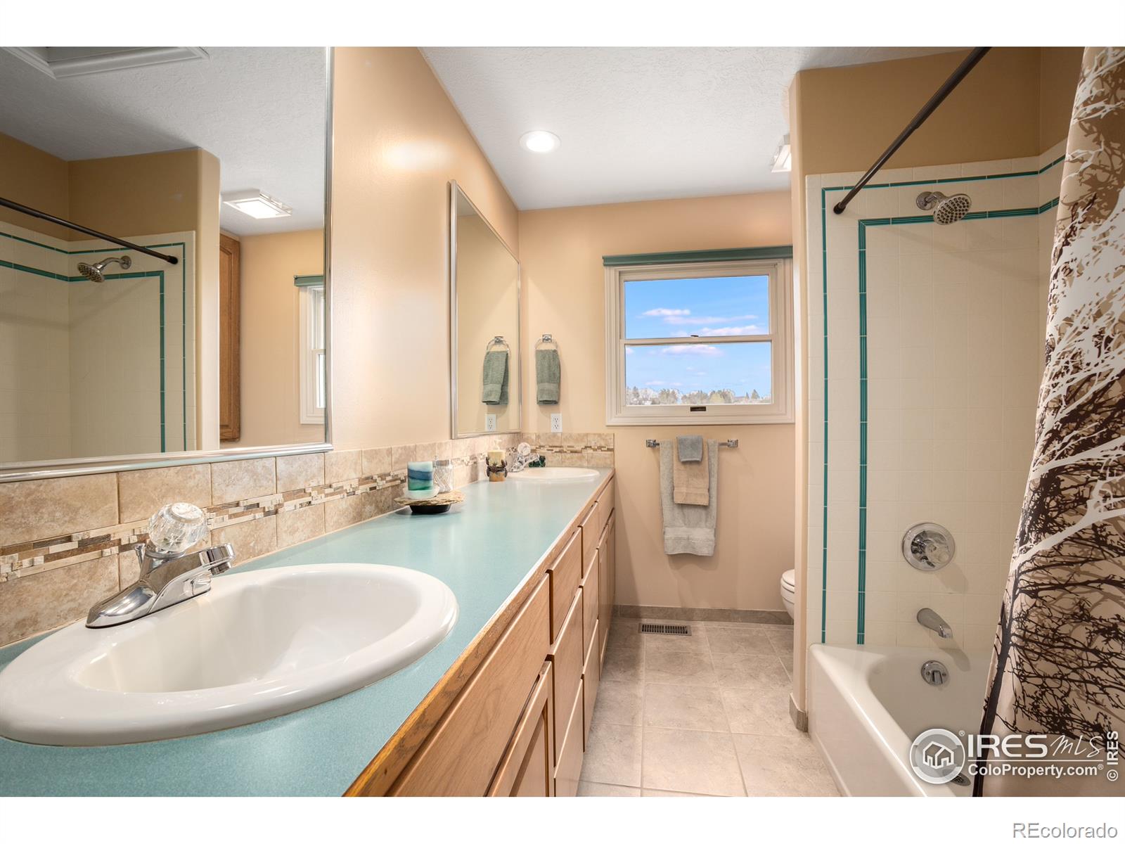 MLS Image #22 for 3020  blue mountain court,loveland, Colorado