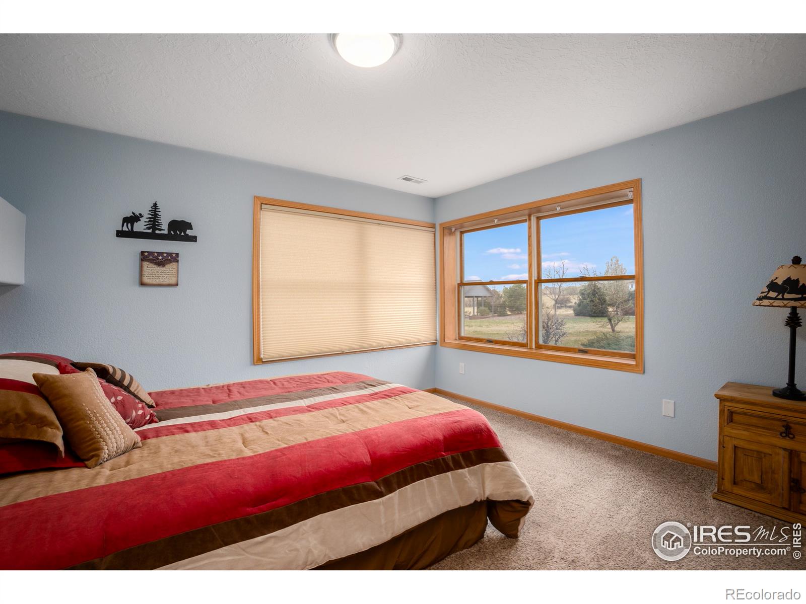 MLS Image #23 for 3020  blue mountain court,loveland, Colorado