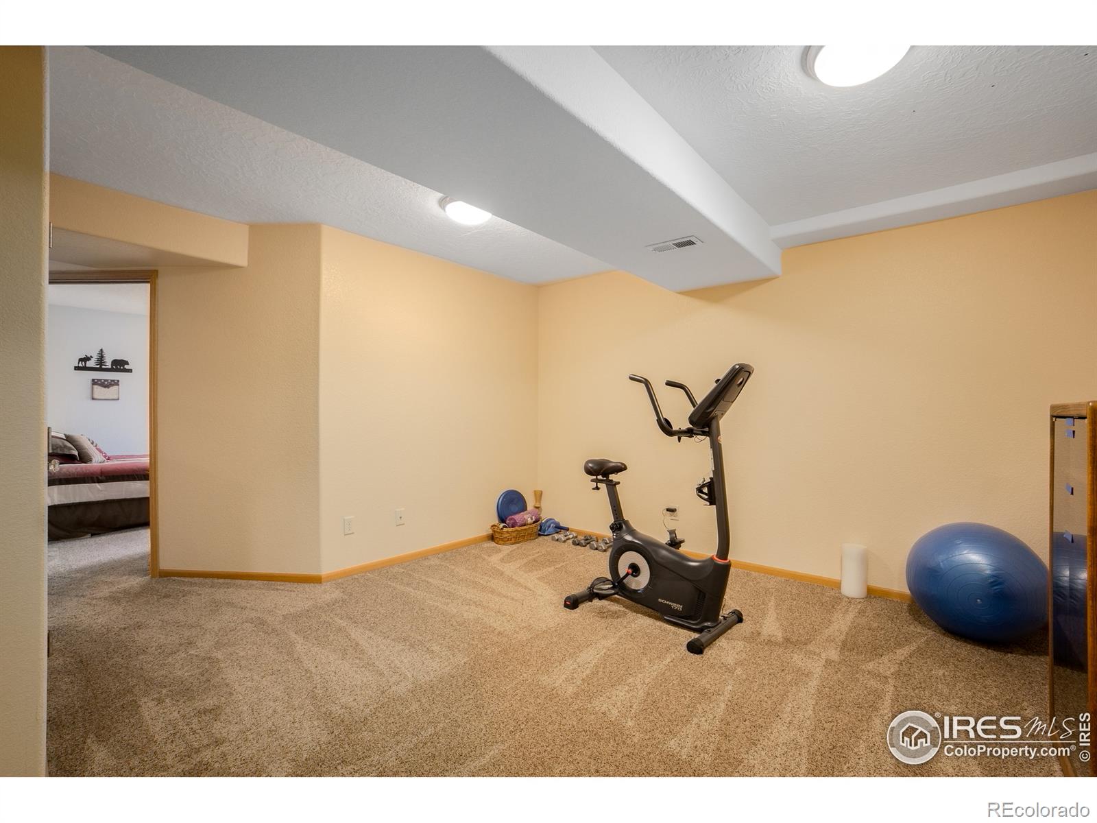 MLS Image #29 for 3020  blue mountain court,loveland, Colorado