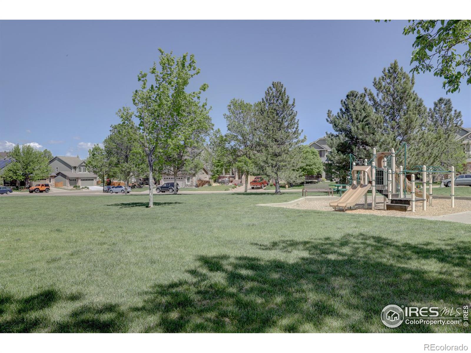 MLS Image #39 for 14605  columbine street,thornton, Colorado