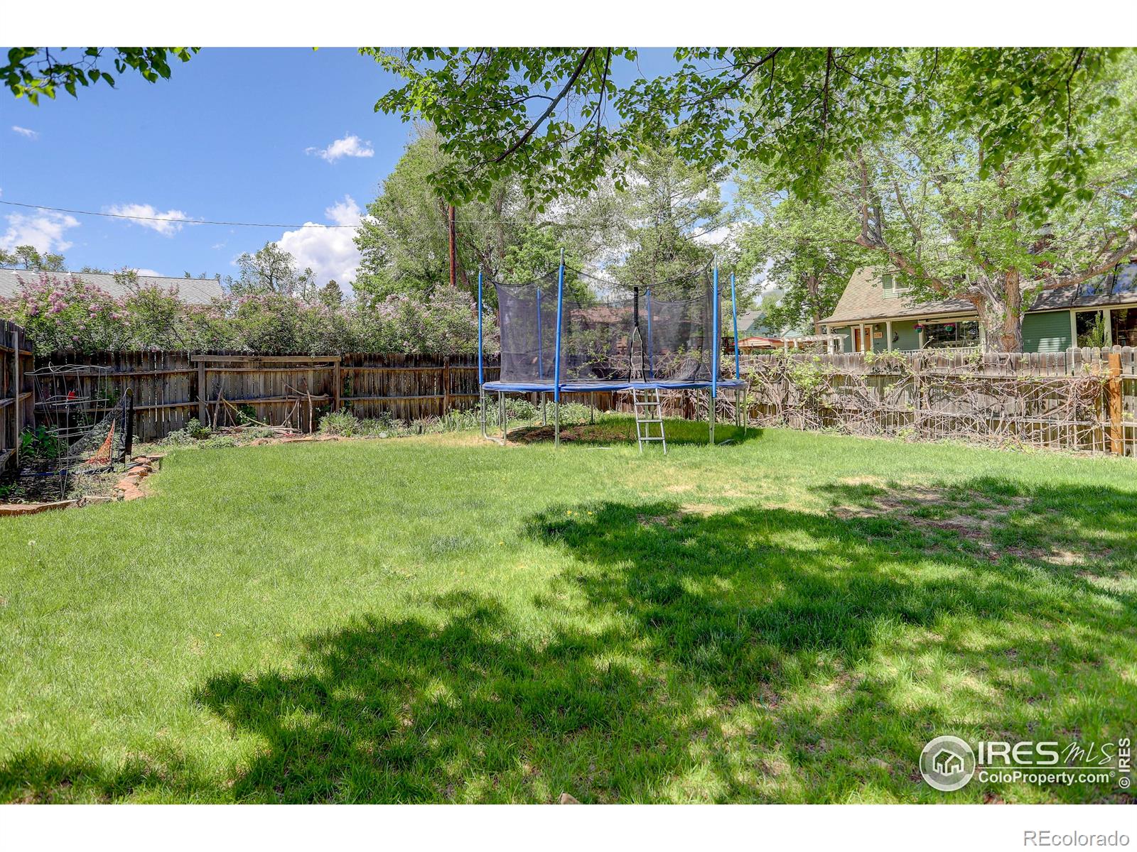 MLS Image #24 for 345  sumner street,longmont, Colorado