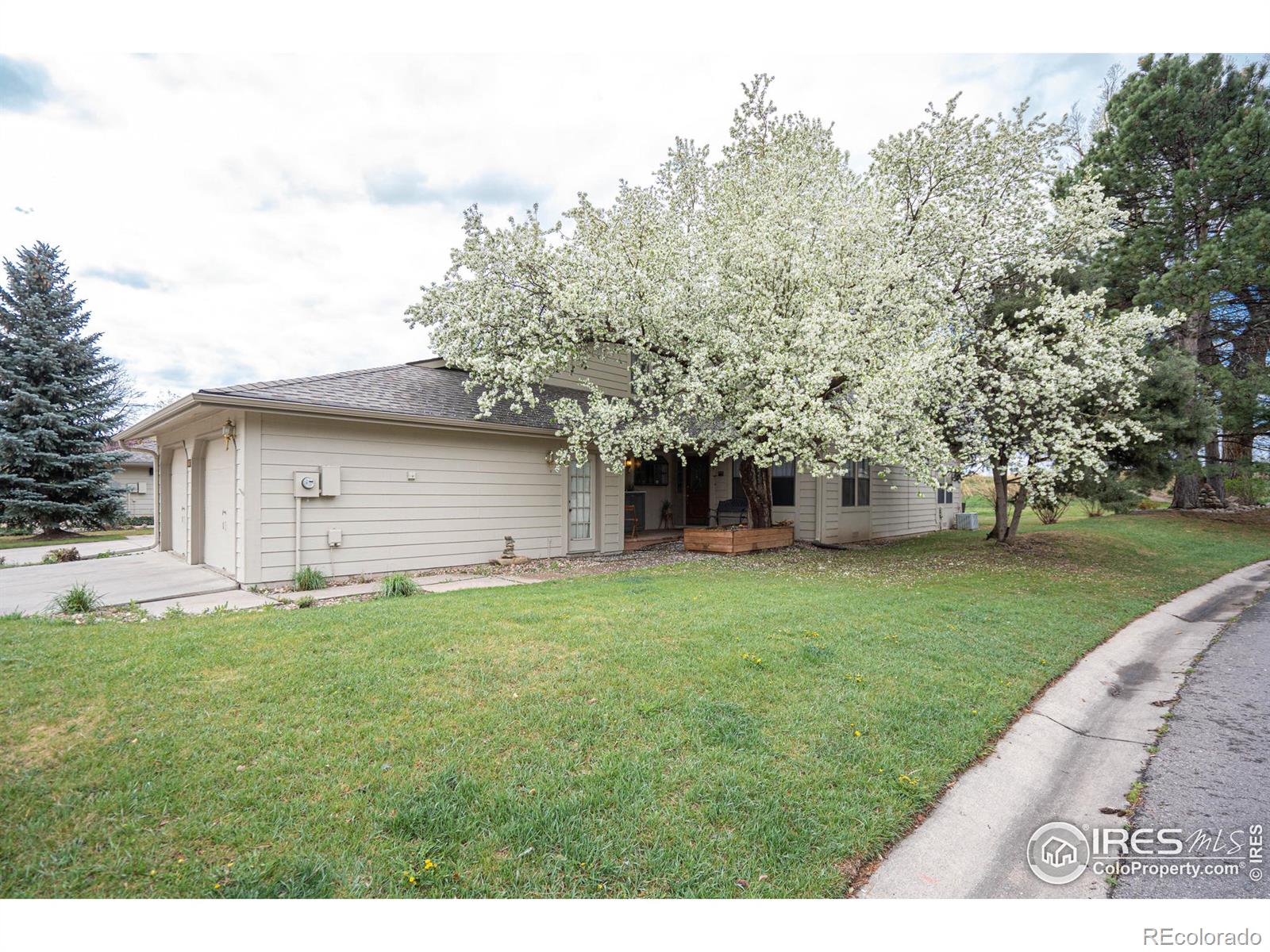 MLS Image #10 for 1001  sailors reef ,fort collins, Colorado