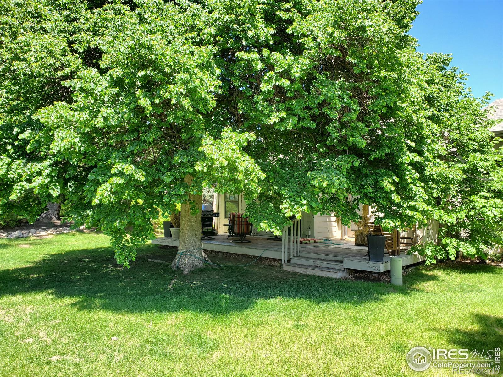 MLS Image #12 for 1001  sailors reef ,fort collins, Colorado