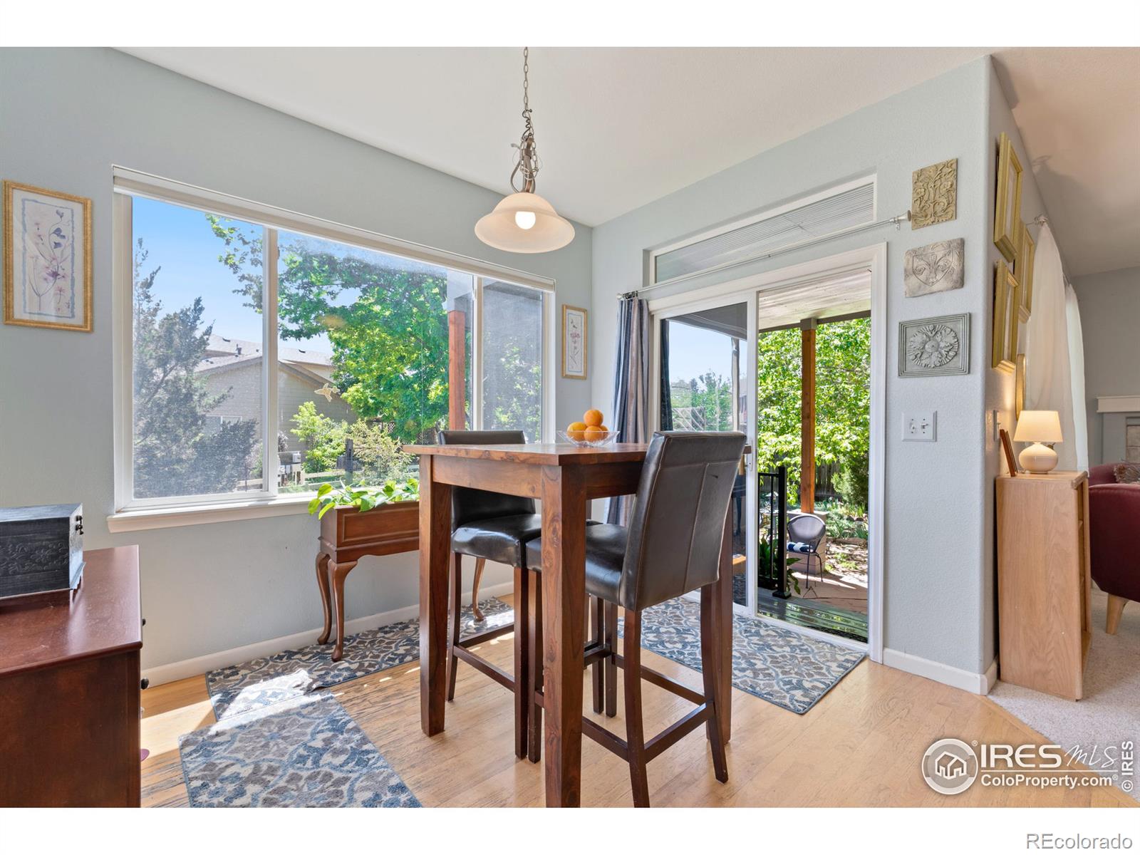 MLS Image #10 for 740  teal circle,longmont, Colorado