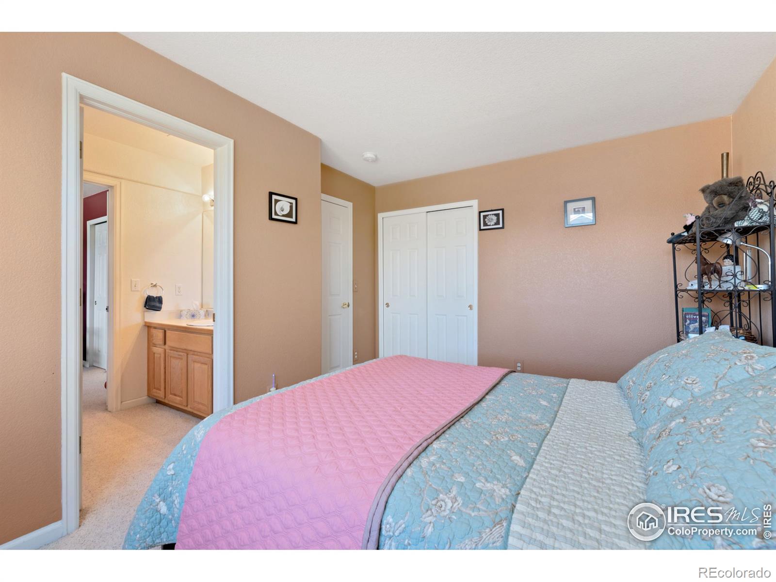 MLS Image #22 for 740  teal circle,longmont, Colorado