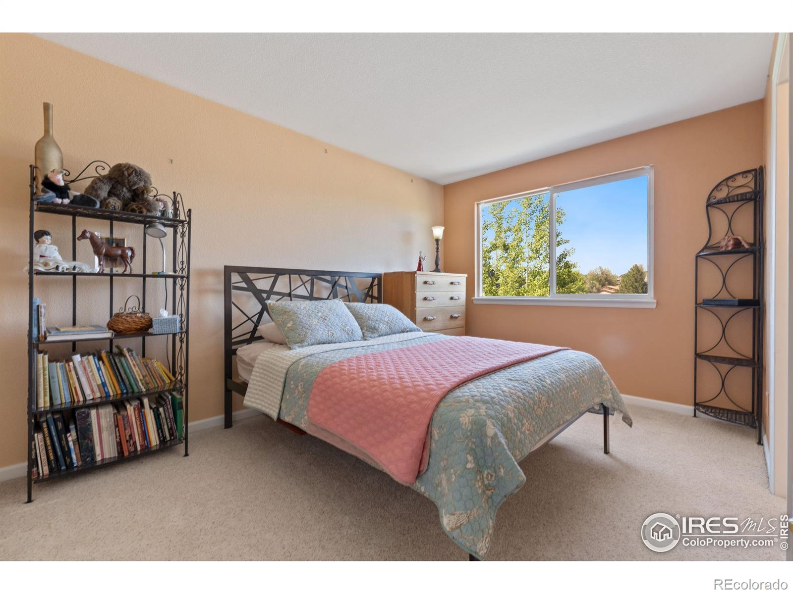 MLS Image #23 for 740  teal circle,longmont, Colorado