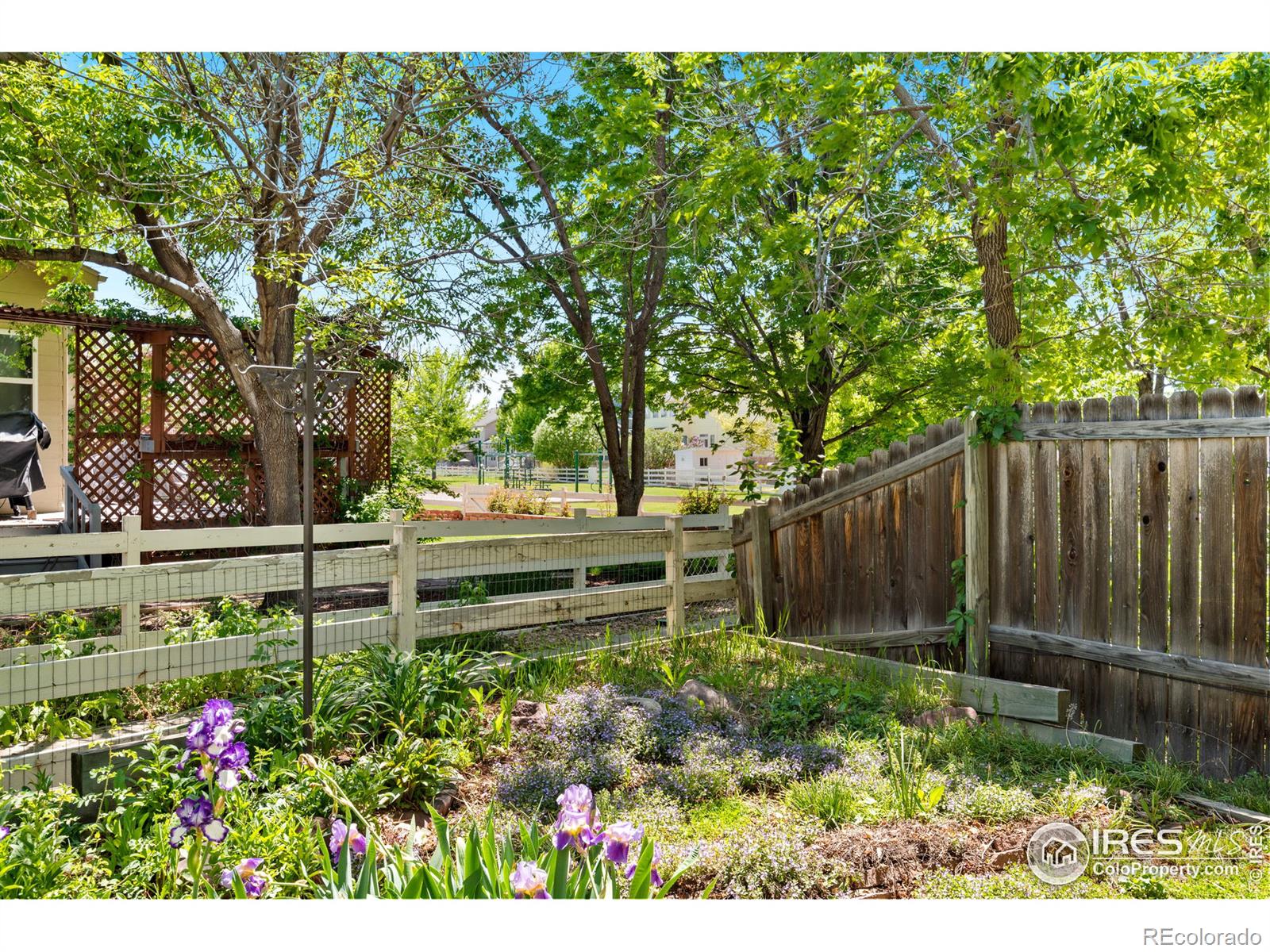MLS Image #32 for 740  teal circle,longmont, Colorado