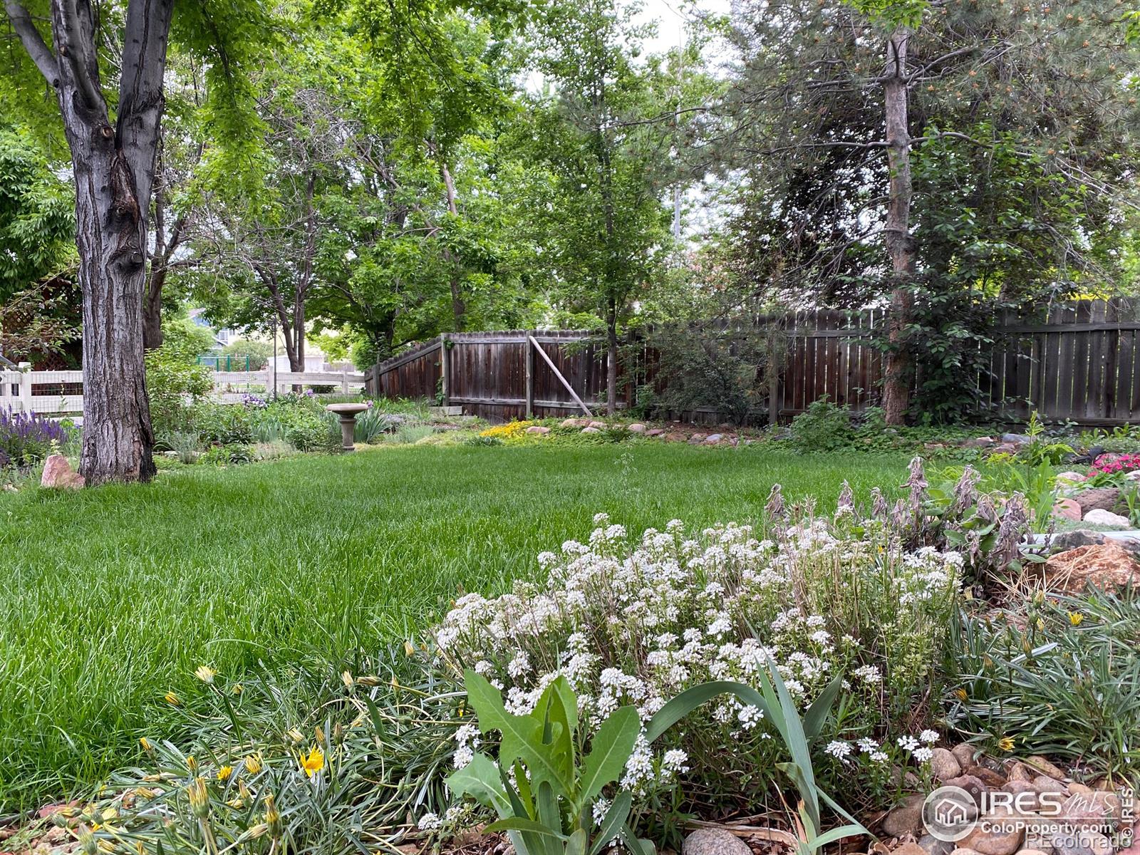 MLS Image #35 for 740  teal circle,longmont, Colorado