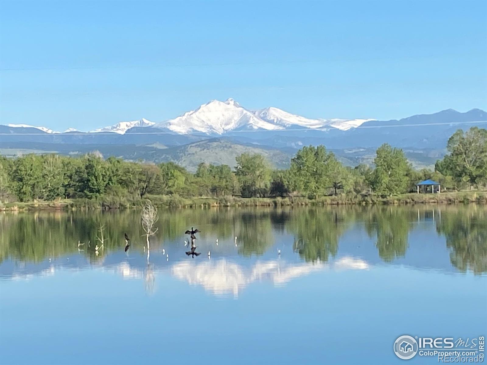 MLS Image #38 for 740  teal circle,longmont, Colorado