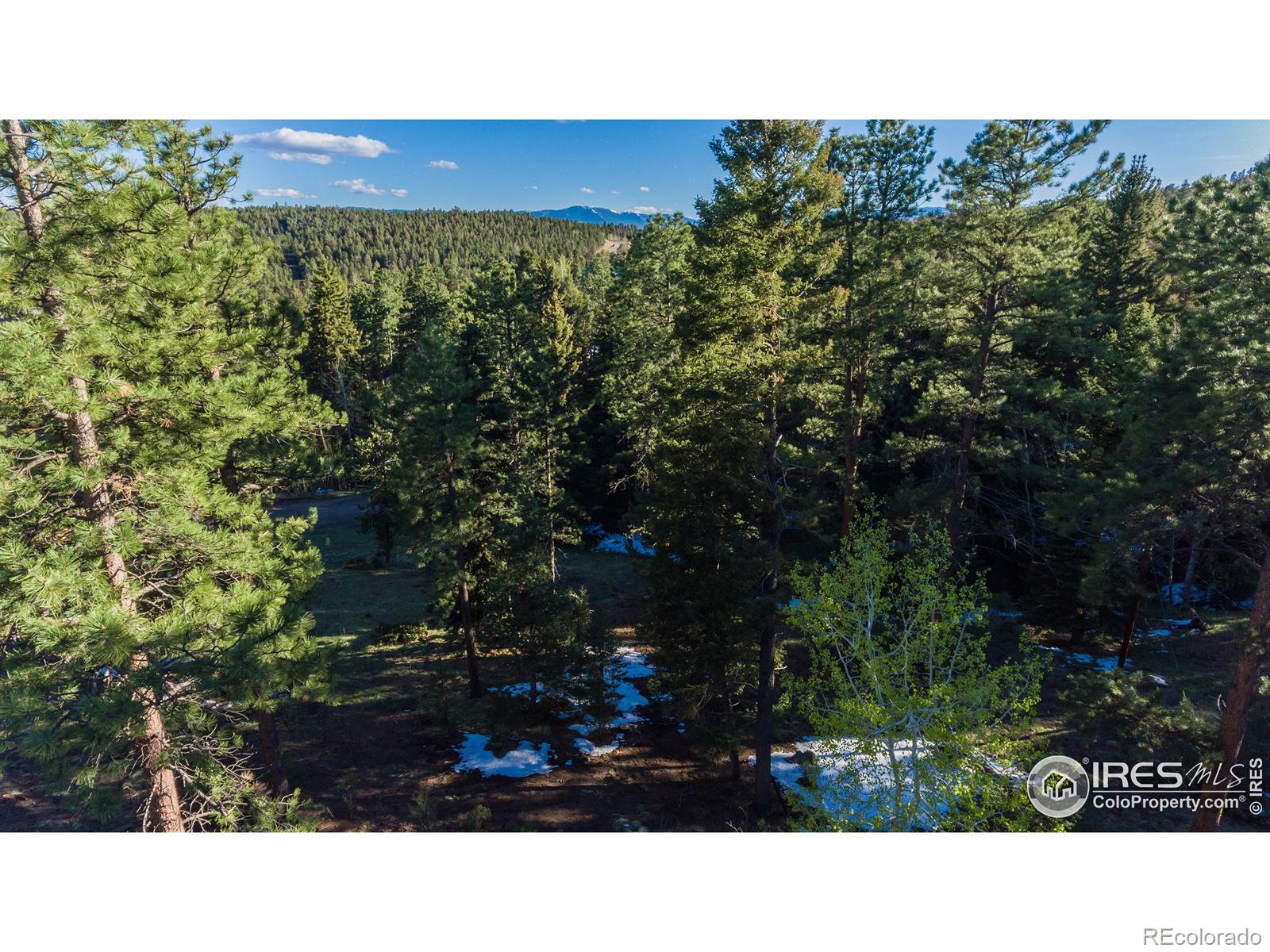 MLS Image #35 for 28669  mountain view road,conifer, Colorado