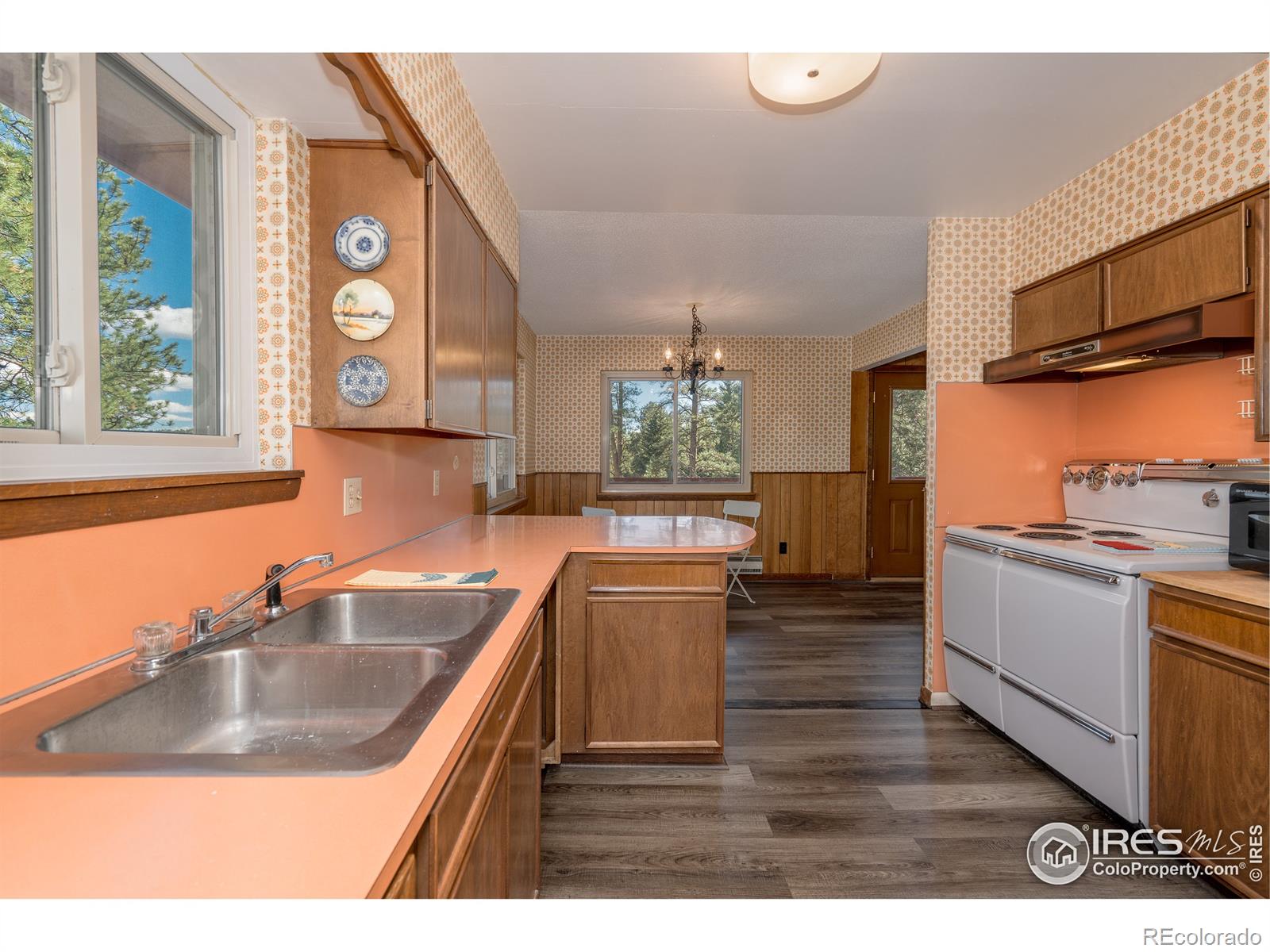 MLS Image #9 for 28669  mountain view road,conifer, Colorado