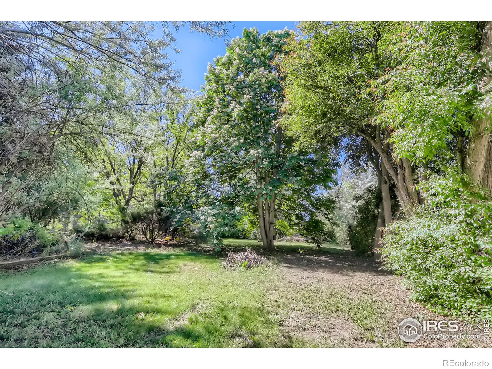 MLS Image #24 for 7786  arlington drive,boulder, Colorado