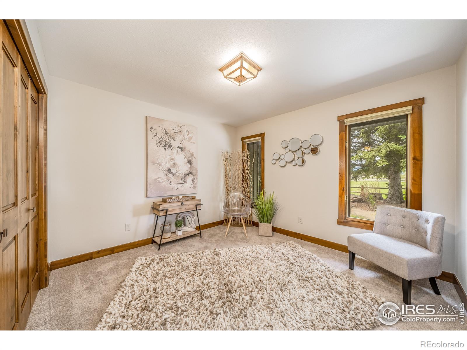 MLS Image #13 for 204 s county road 3 ,fort collins, Colorado