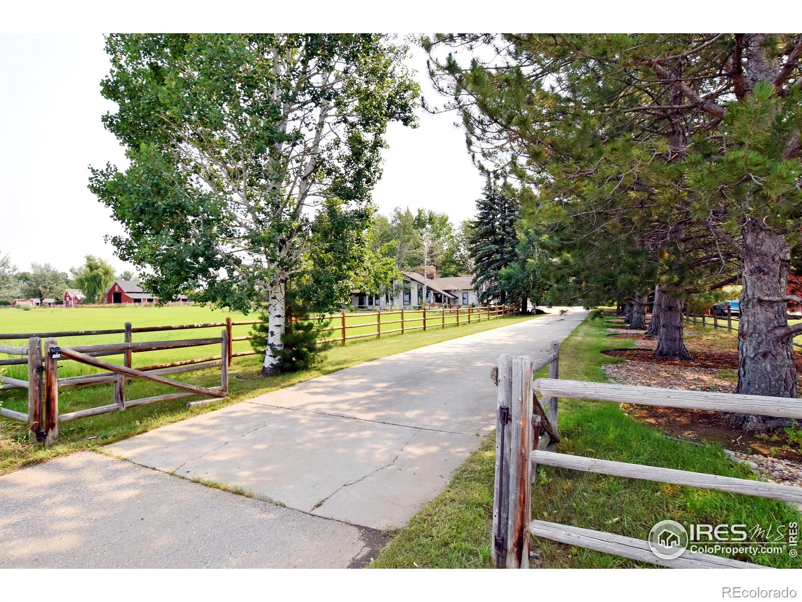 MLS Image #18 for 204 s county road 3 ,fort collins, Colorado