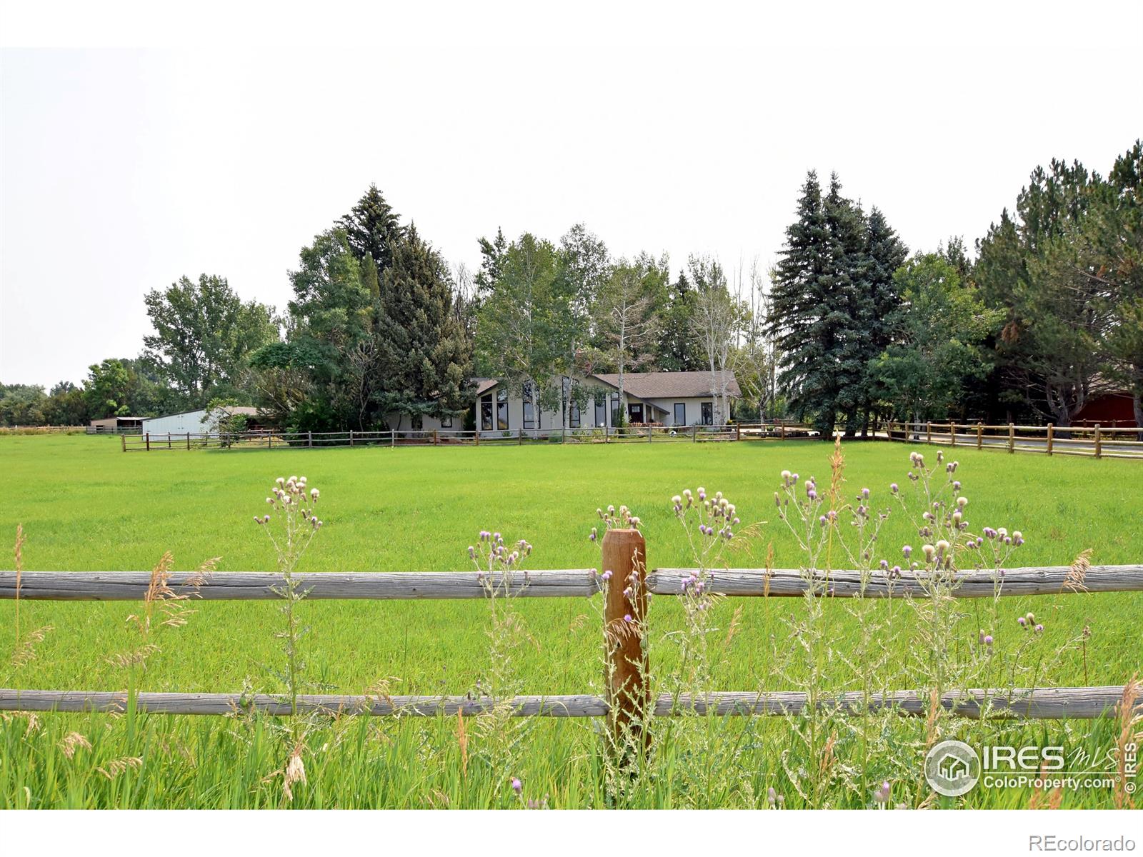 MLS Image #24 for 204 s county road 3 ,fort collins, Colorado