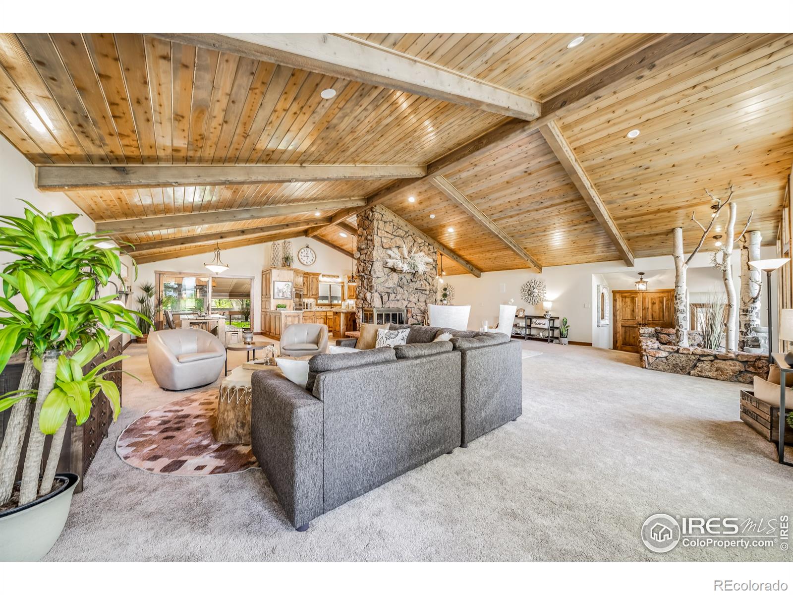 MLS Image #6 for 204 s county road 3 ,fort collins, Colorado