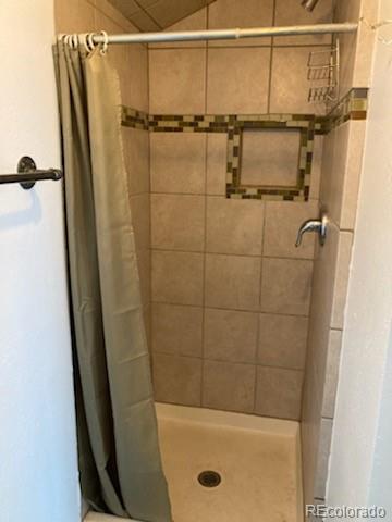 MLS Image #13 for 28022  camel heights circle,evergreen, Colorado