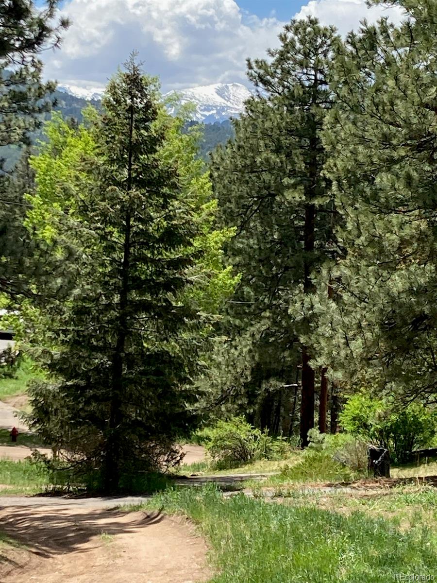 MLS Image #4 for 28022  camel heights circle,evergreen, Colorado