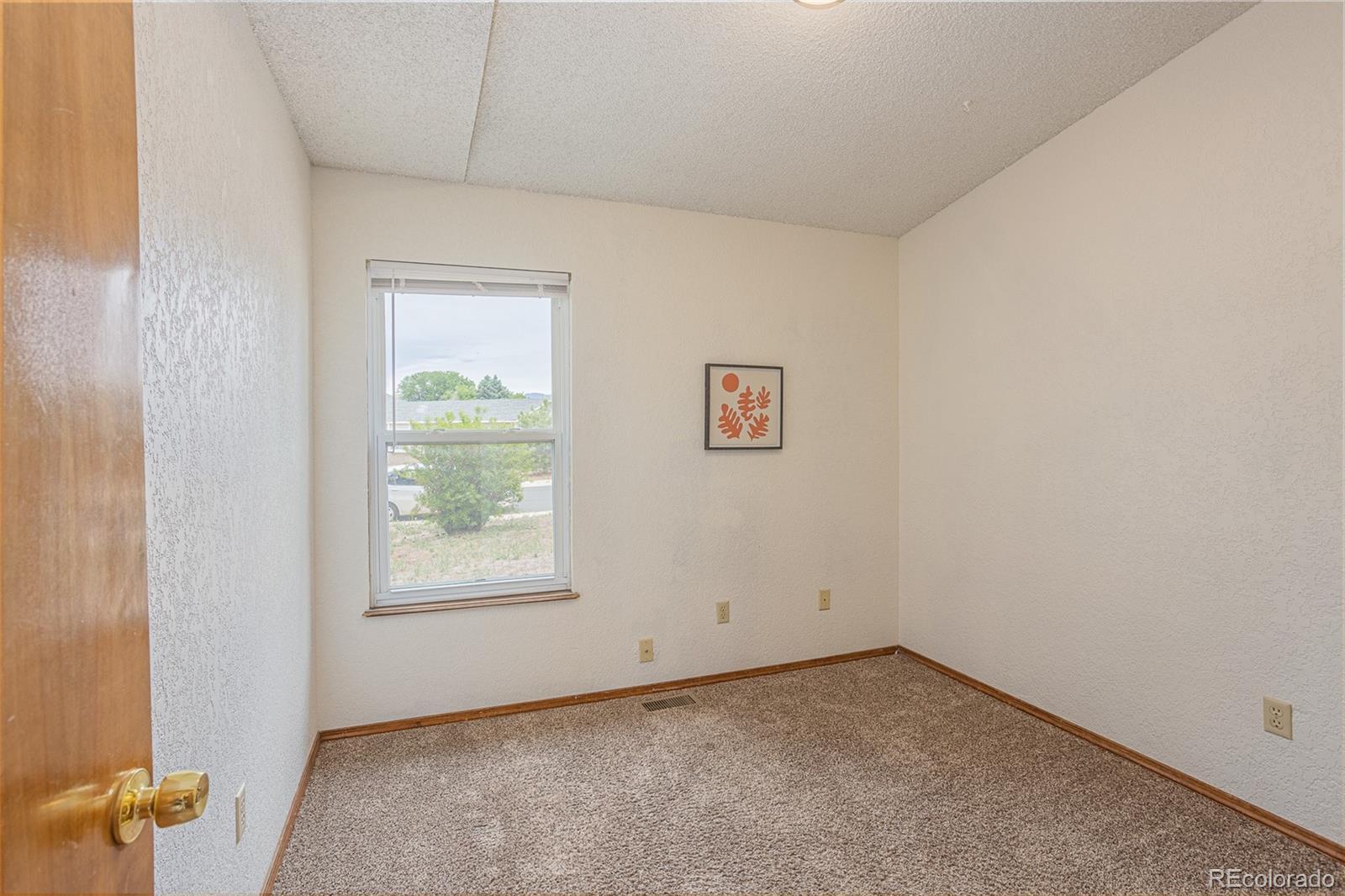 MLS Image #19 for 4185  scotch pine drive,colorado springs, Colorado
