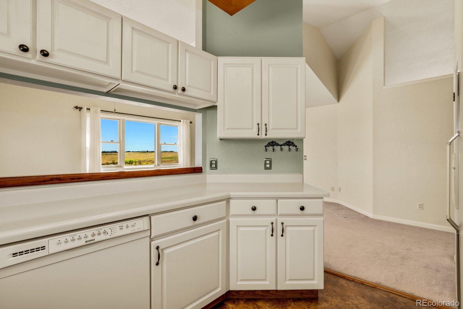 MLS Image #10 for 45683  cottonwood hills drive,parker, Colorado