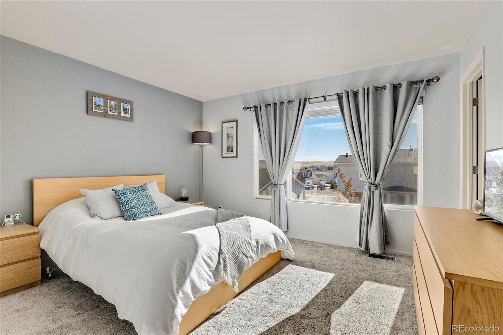 MLS Image #17 for 9610  mallard pond way,littleton, Colorado