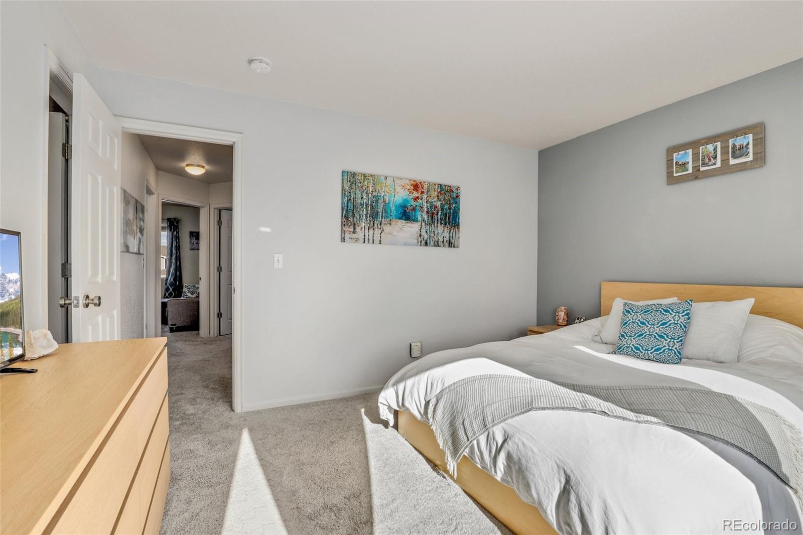 MLS Image #18 for 9610  mallard pond way,littleton, Colorado