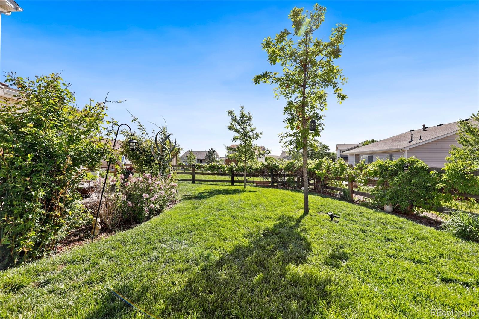 MLS Image #28 for 9610  mallard pond way,littleton, Colorado