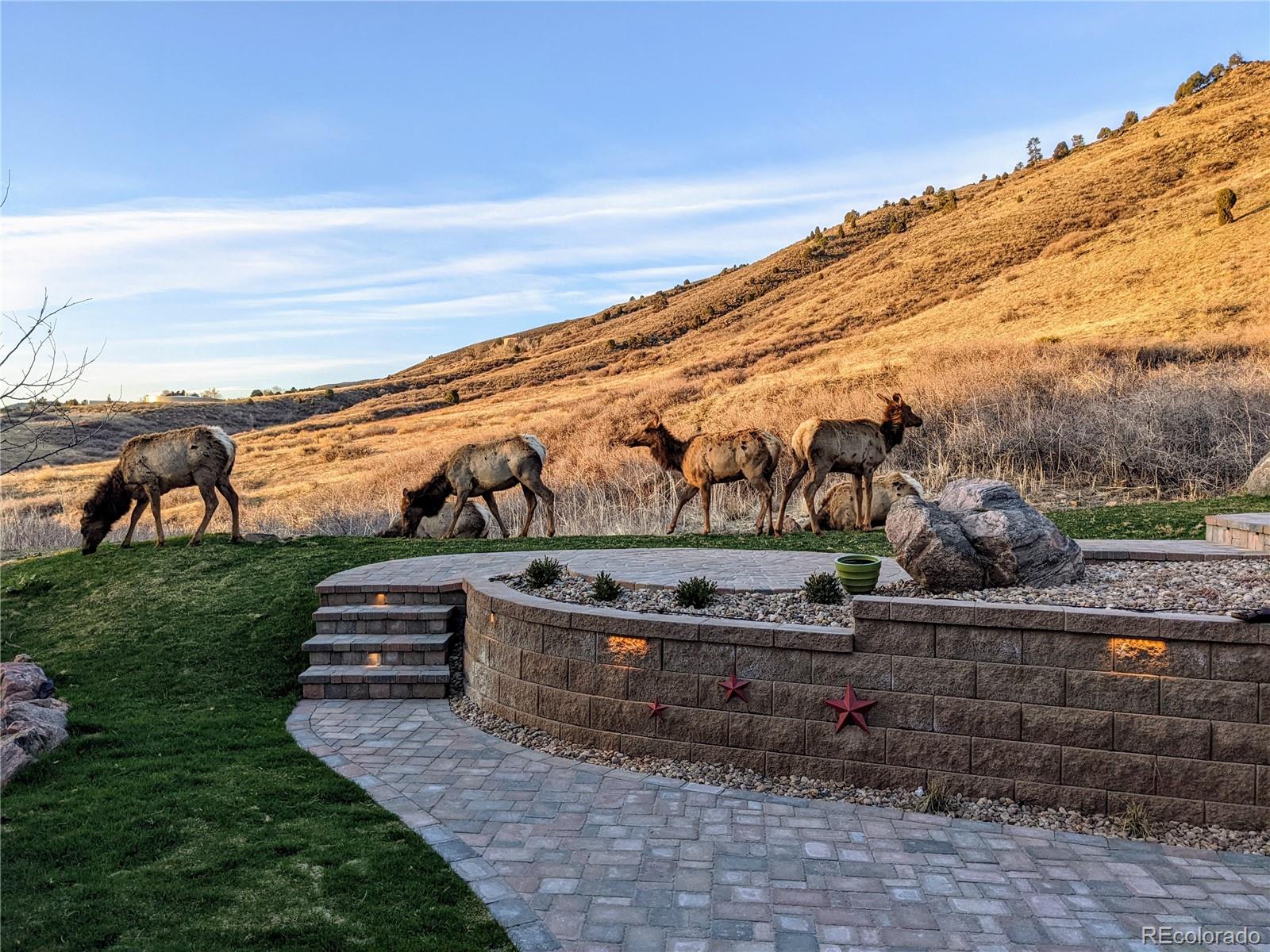 MLS Image #39 for 584  blue jay drive,golden, Colorado