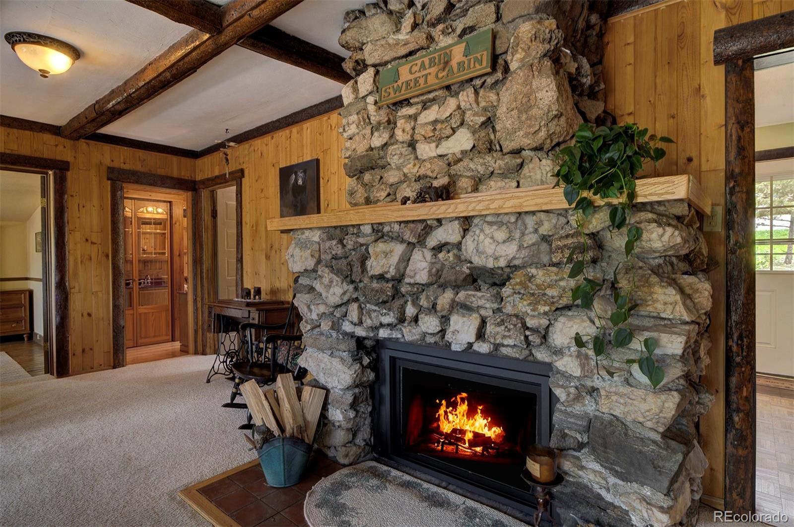MLS Image #10 for 6723  wild rose lane,evergreen, Colorado