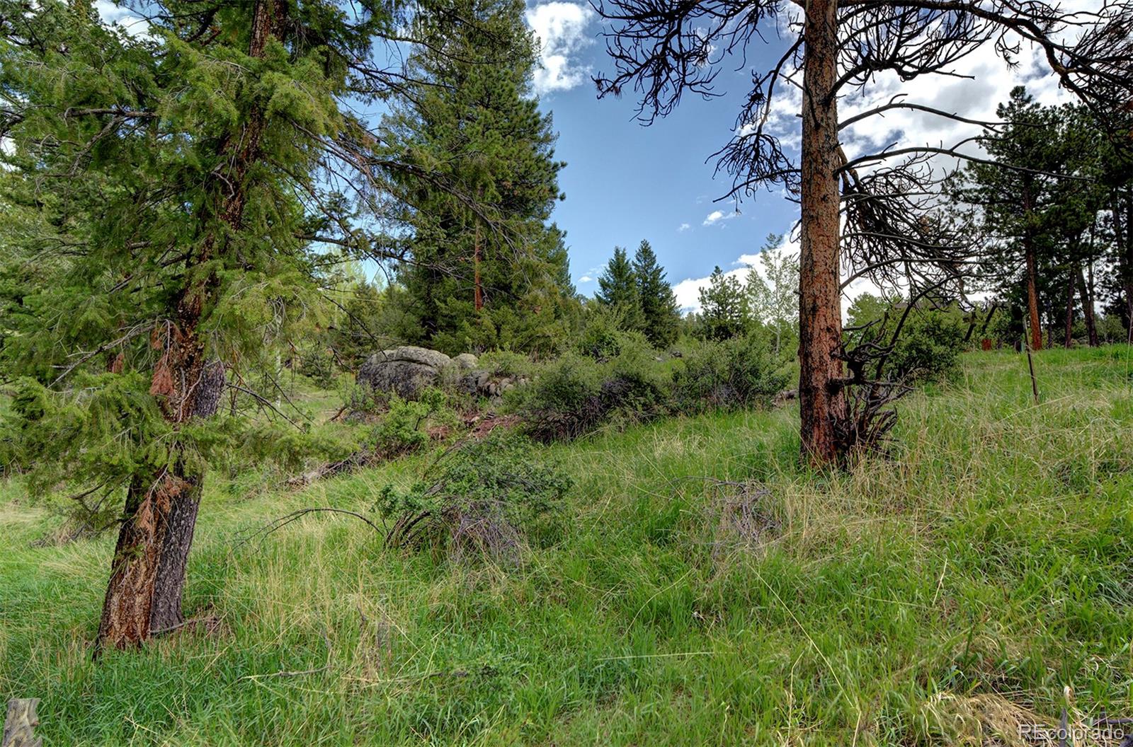 MLS Image #31 for 6723  wild rose lane,evergreen, Colorado