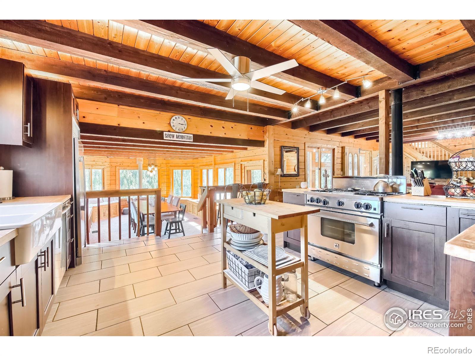 MLS Image #4 for 14094  lefthand canyon drive,jamestown, Colorado