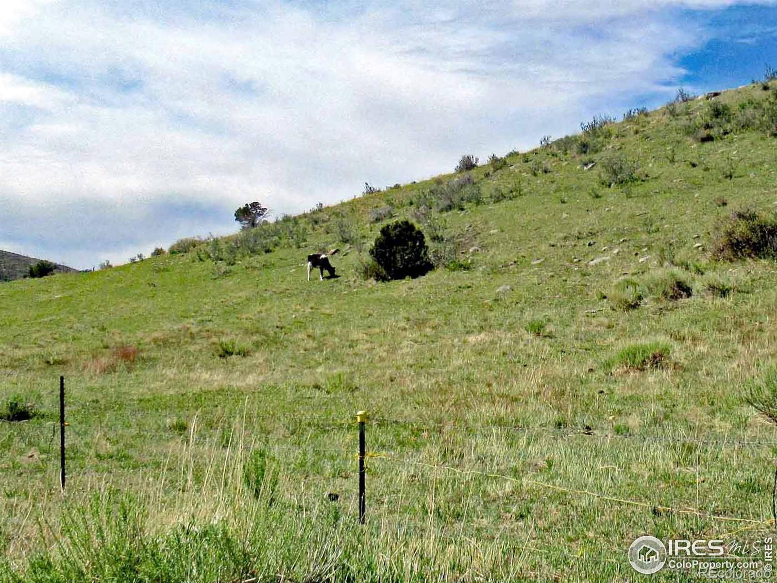 MLS Image #4 for 1015  happy jack road,livermore, Colorado