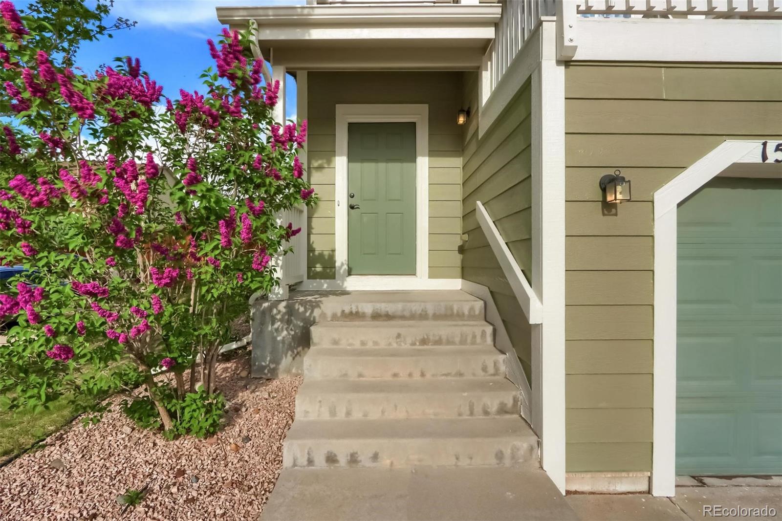 Report Image for 1550  Willow Oak Road,Castle Rock, Colorado