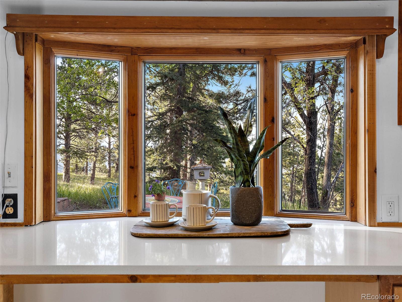 MLS Image #20 for 548  pine song trail,golden, Colorado