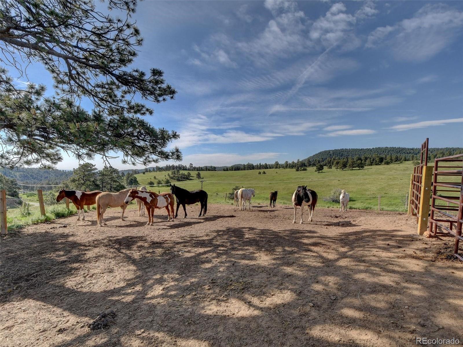 MLS Image #39 for 548  pine song trail,golden, Colorado
