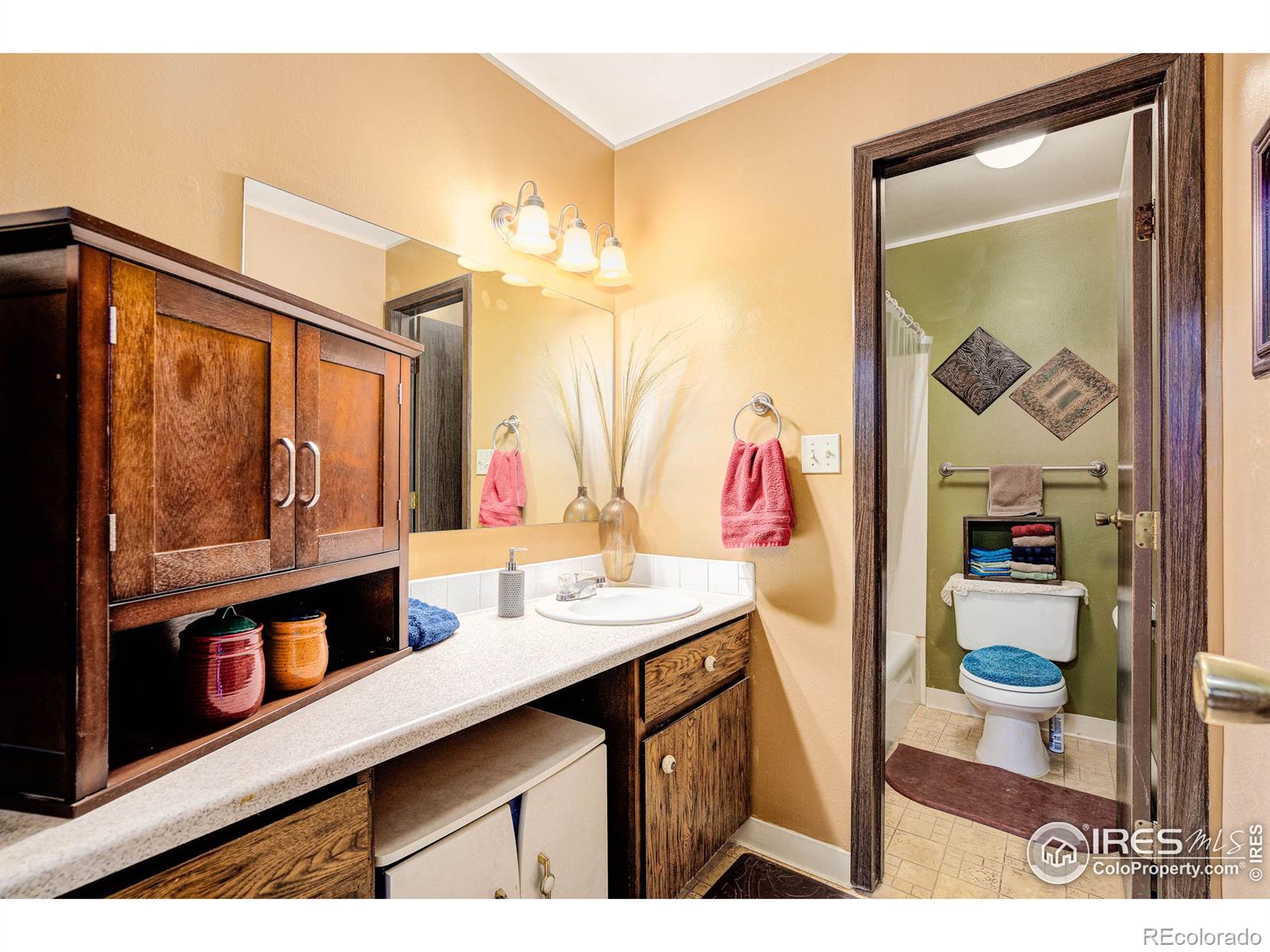 MLS Image #20 for 801 e drake road,fort collins, Colorado