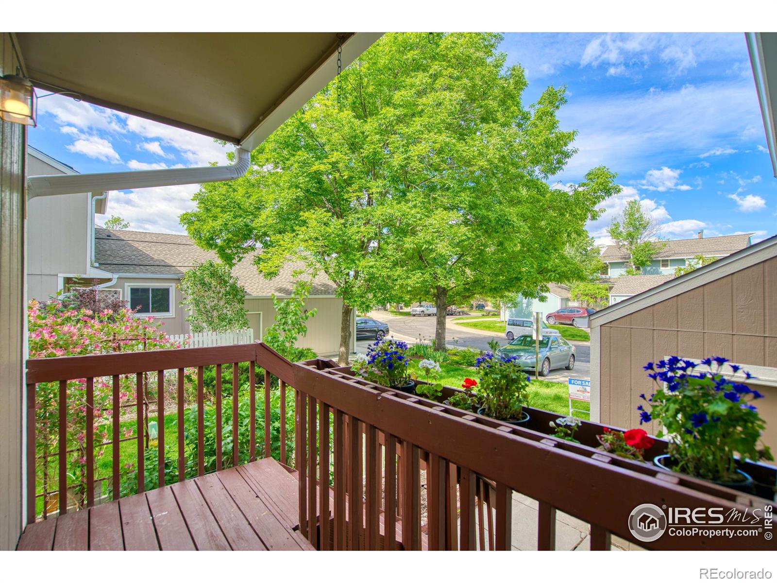 MLS Image #3 for 933  reynolds farm lane,longmont, Colorado