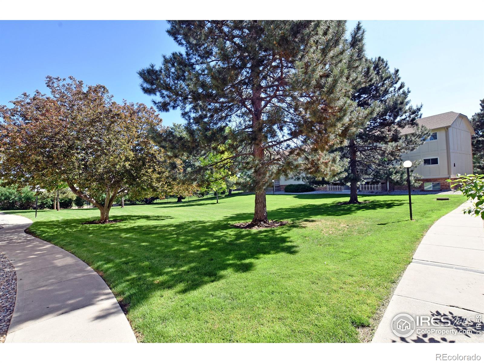 MLS Image #2 for 1024 e swallow road,fort collins, Colorado