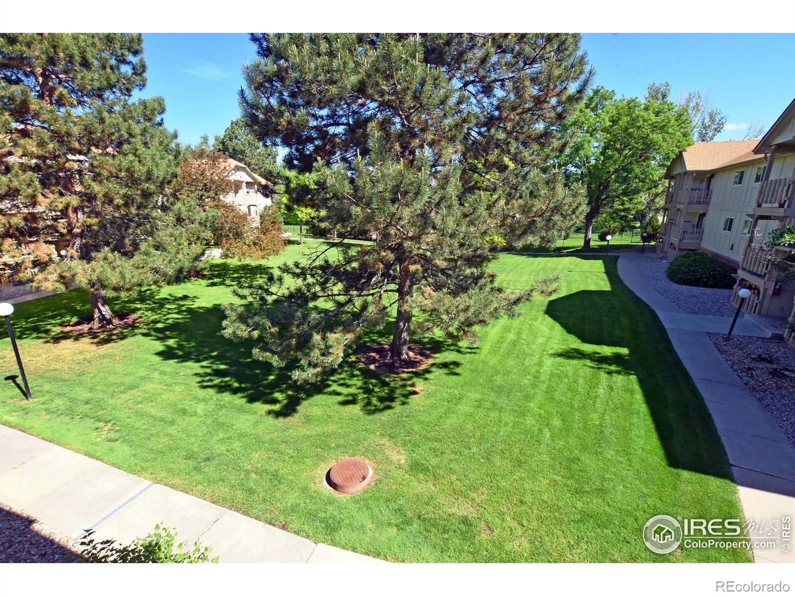 MLS Image #5 for 1024 e swallow road,fort collins, Colorado