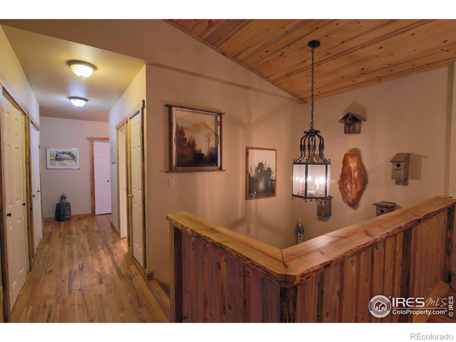 MLS Image #10 for 99  elkhorn house road,livermore, Colorado