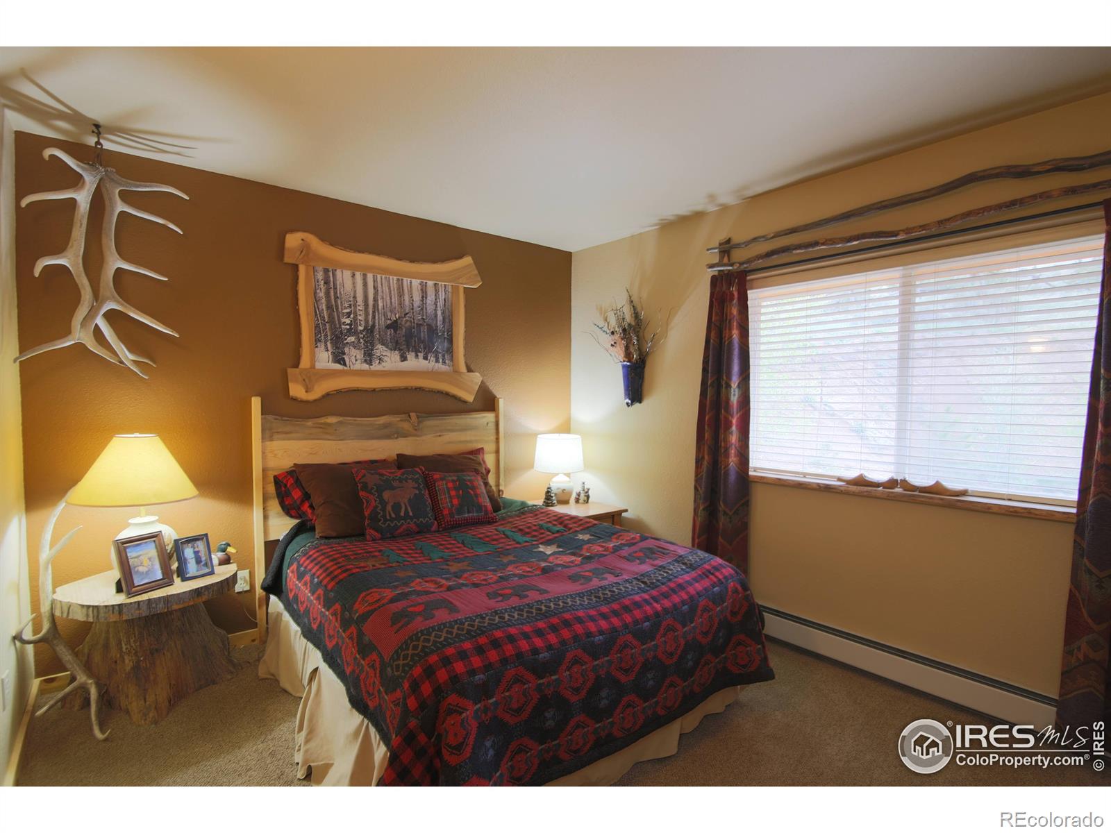 MLS Image #15 for 99  elkhorn house road,livermore, Colorado