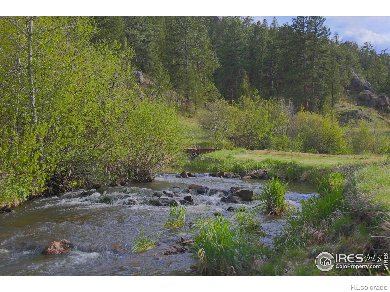 MLS Image #2 for 99  elkhorn house road,livermore, Colorado