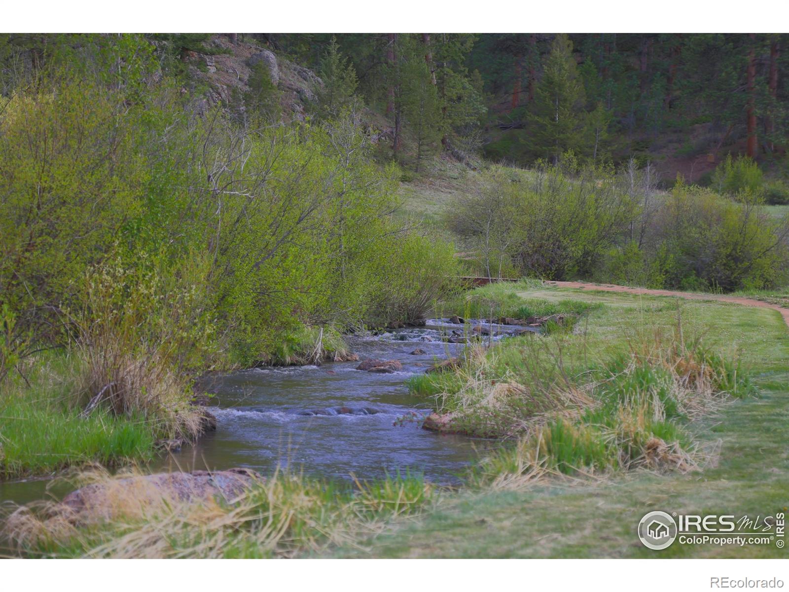 MLS Image #22 for 99  elkhorn house road,livermore, Colorado