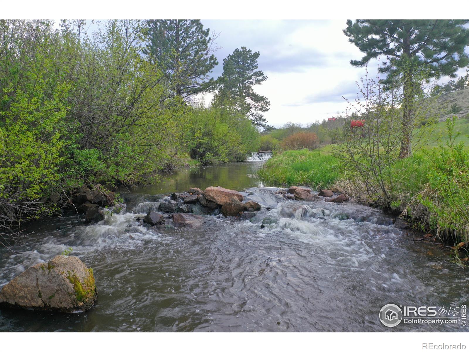 MLS Image #23 for 99  elkhorn house road,livermore, Colorado