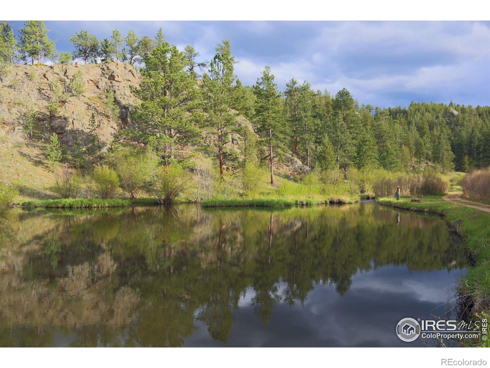 MLS Image #26 for 99  elkhorn house road,livermore, Colorado