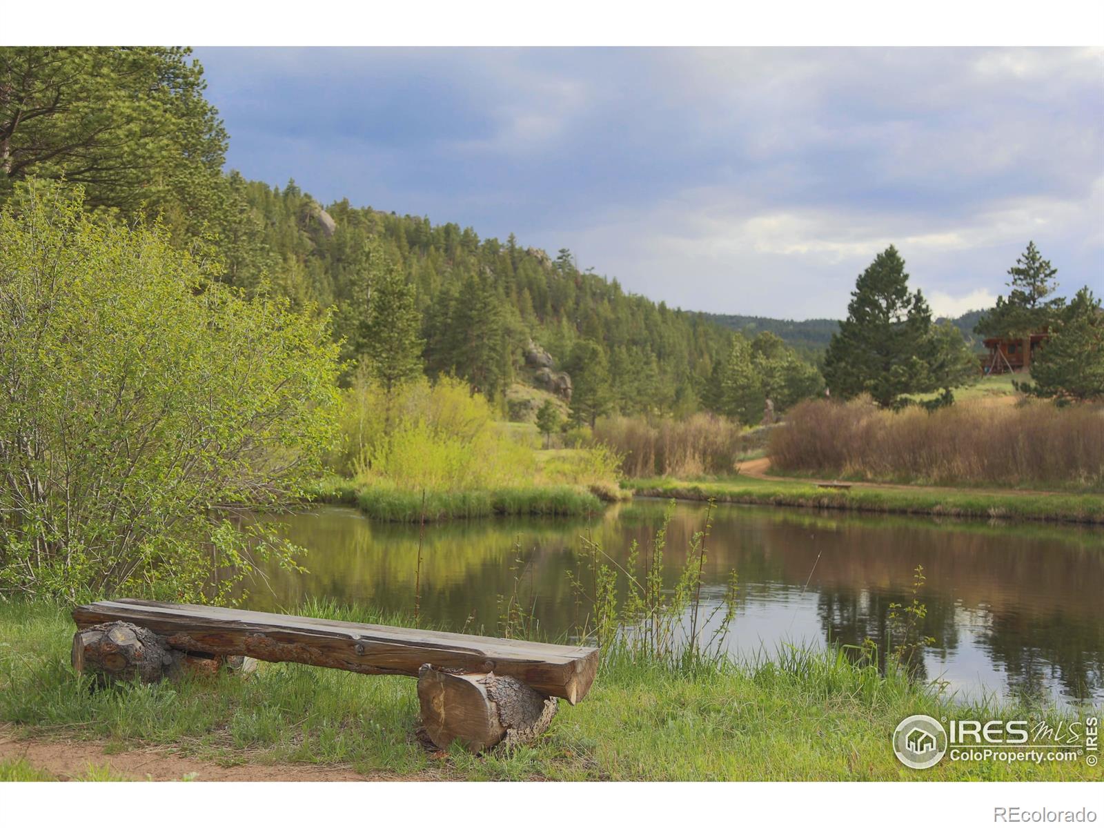 MLS Image #3 for 99  elkhorn house road,livermore, Colorado