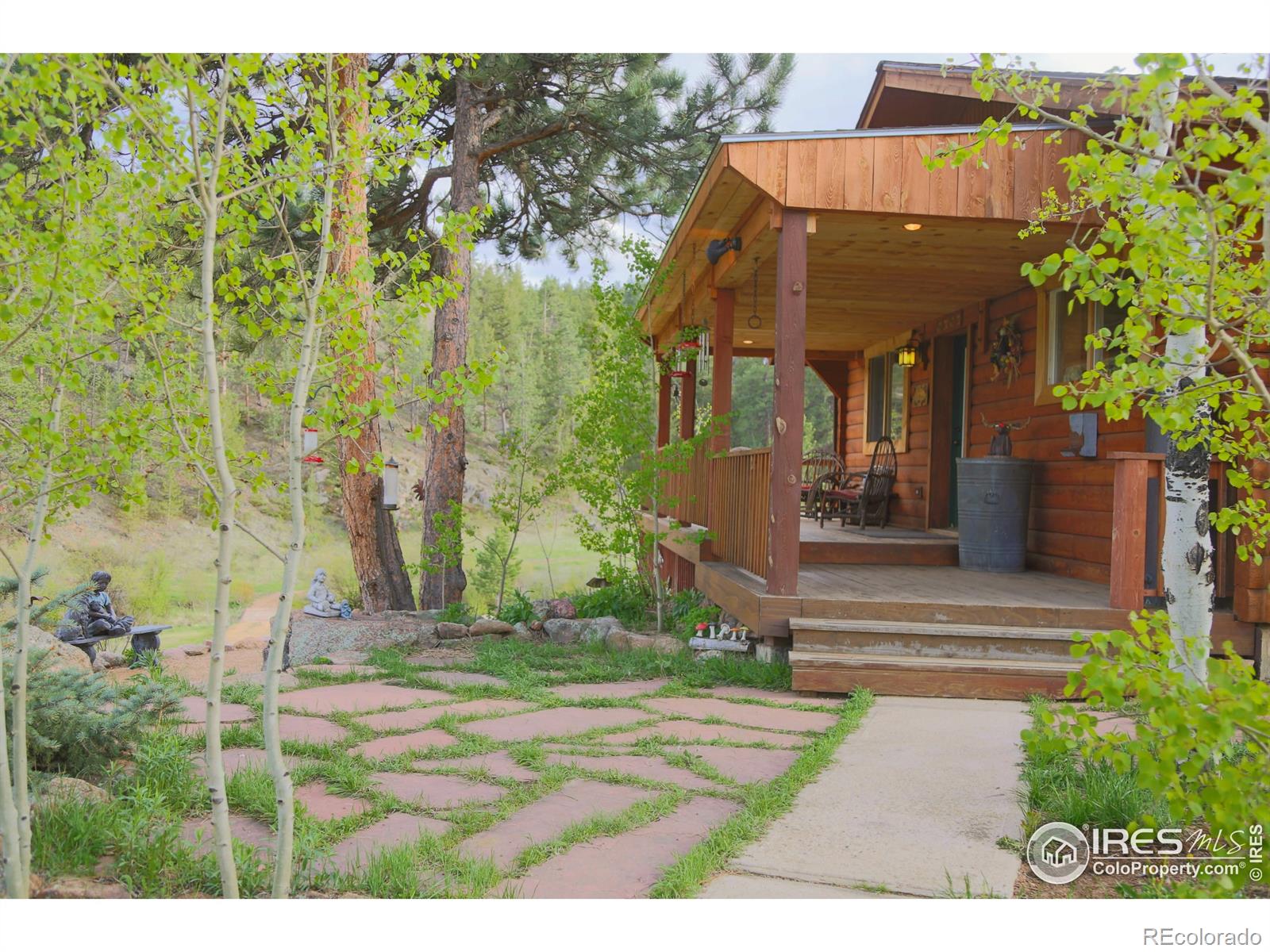MLS Image #4 for 99  elkhorn house road,livermore, Colorado