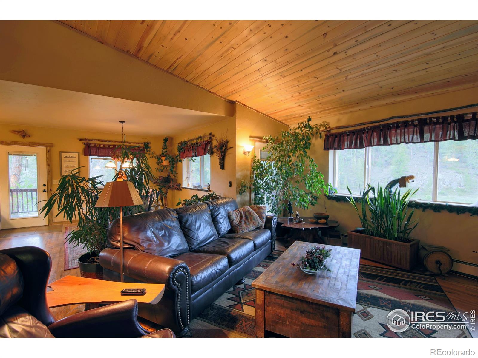MLS Image #9 for 99  elkhorn house road,livermore, Colorado